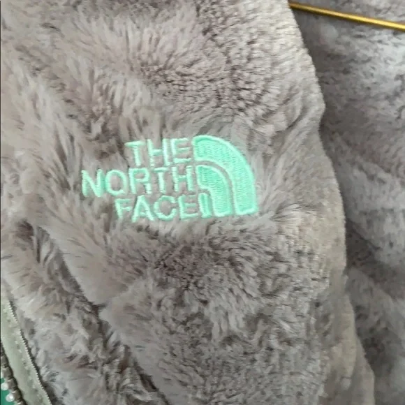 NWOT North Face Mossbud Swirl jacket